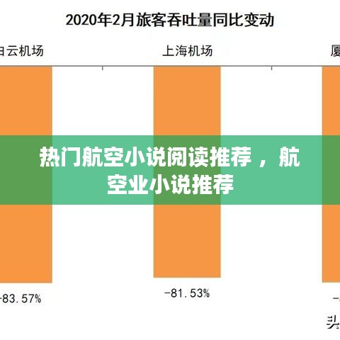 热门航空小说阅读推荐 ，航空业小说推荐