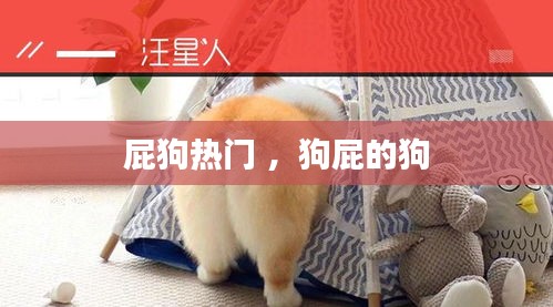 天南地北 第3页