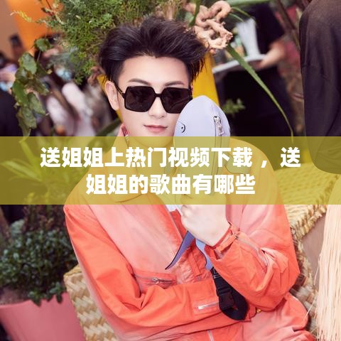送姐姐上热门视频下载 ，送姐姐的歌曲有哪些