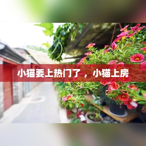 学贯中西 第3页