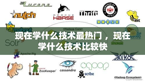 现在学什么技术最热门 ，现在学什么技术比较快