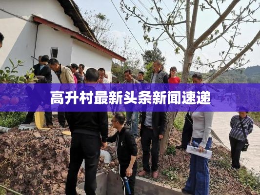 高升村最新头条新闻速递