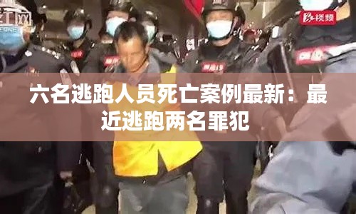 鸟吏鼈官 第2页