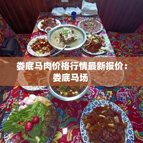 娄底马肉价格行情最新报价：娄底马场 