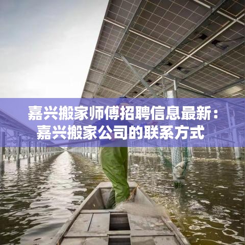 嘉兴搬家师傅招聘信息最新：嘉兴搬家公司的联系方式 