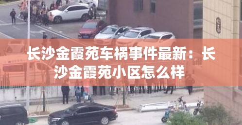 长沙金霞苑车祸事件最新：长沙金霞苑小区怎么样 