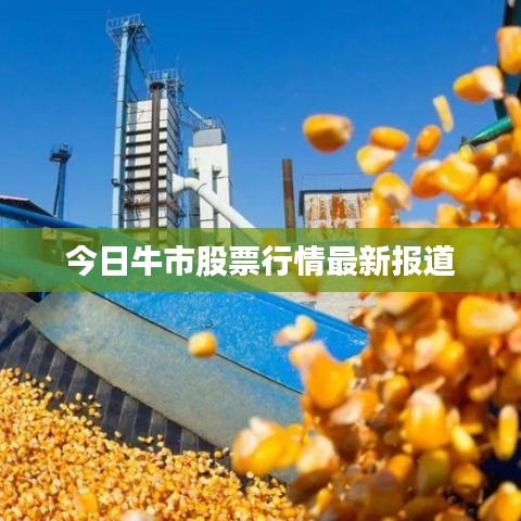 斫琱为朴 第2页