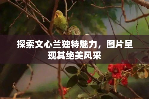 克勤克俭 第3页