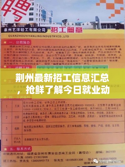 荆州最新招工信息汇总，抢鲜了解今日就业动态