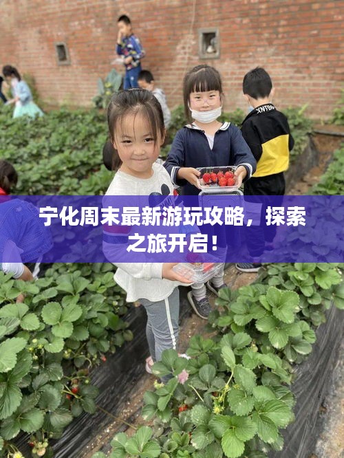 富贵凝香 第2页