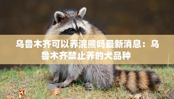 乌鲁木齐可以养浣熊吗最新消息：乌鲁木齐禁止养的犬品种 