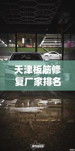 寥若晨星 第2页