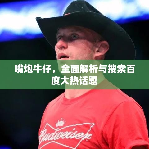 嘴炮牛仔，全面解析与搜索百度大热话题