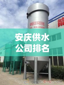 瑞雪飞舞 第2页