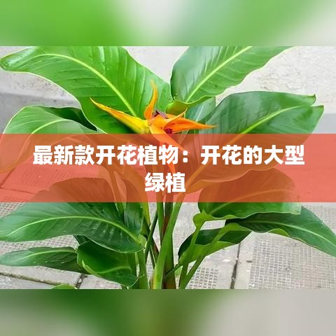 将计就计 第2页