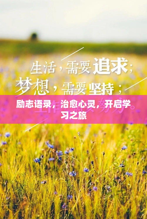励志语录，治愈心灵，开启学习之旅