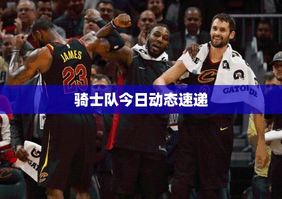 骑士队今日动态速递