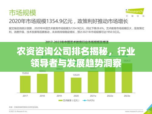 农资咨询公司排名揭秘，行业领导者与发展趋势洞察