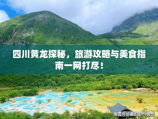 真独简贵 第2页