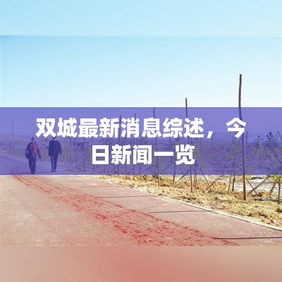 双城最新消息综述，今日新闻一览