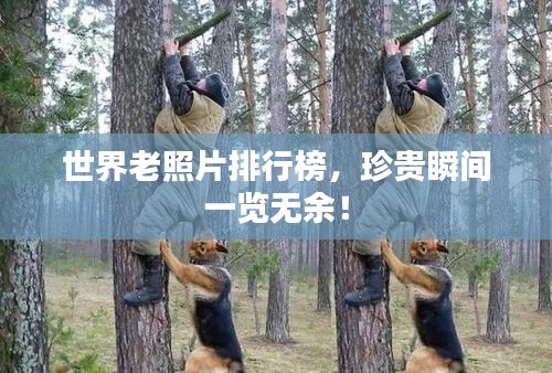世界老照片排行榜，珍贵瞬间一览无余！