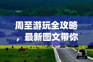 鸟声兽心 第2页