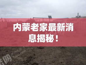 内蒙老家最新消息揭秘！