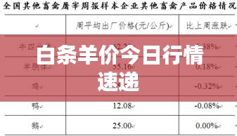 白条羊价今日行情速递