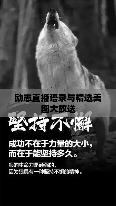 不飞则已 第2页