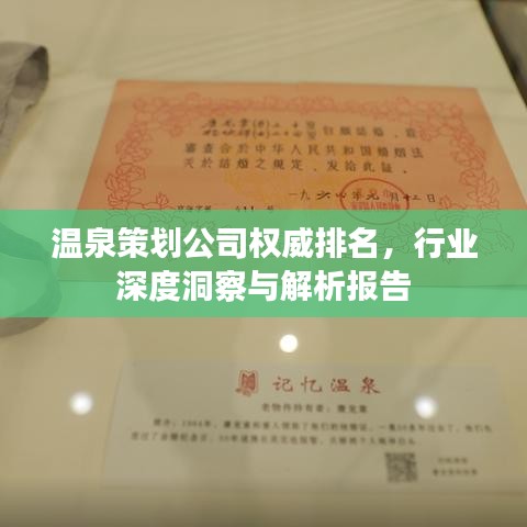 百不得一 第2页