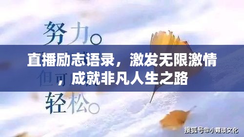 棒打出头鸟 第2页