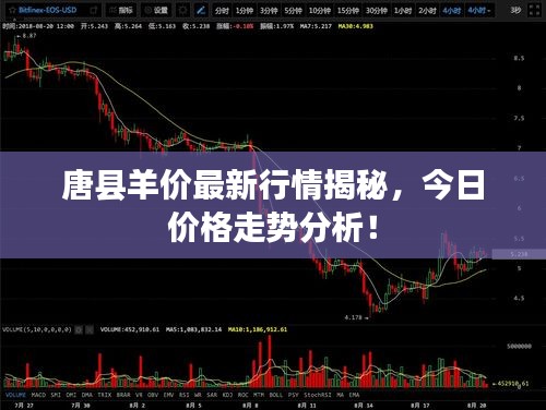 唐县羊价最新行情揭秘，今日价格走势分析！