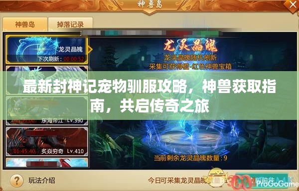 最新封神记宠物驯服攻略，神兽获取指南，共启传奇之旅