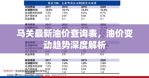 马关最新油价查询表，油价变动趋势深度解析