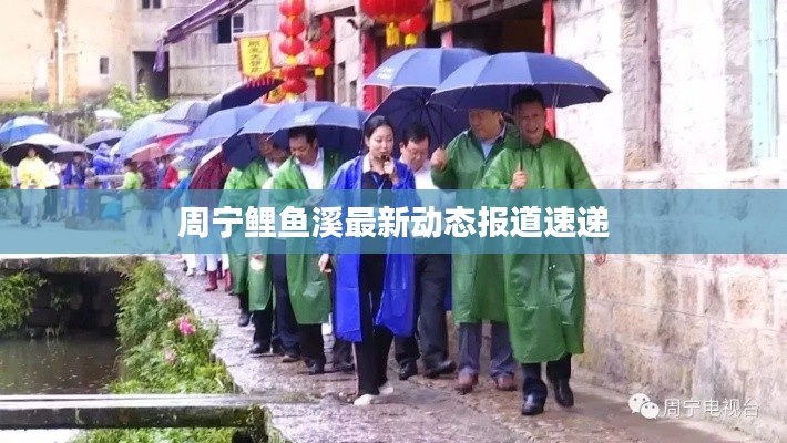 周宁鲤鱼溪最新动态报道速递