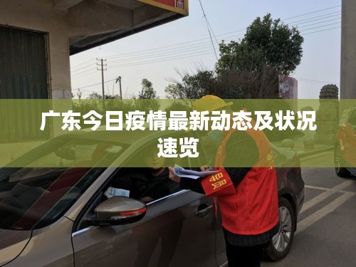 广东今日疫情最新动态及状况速览
