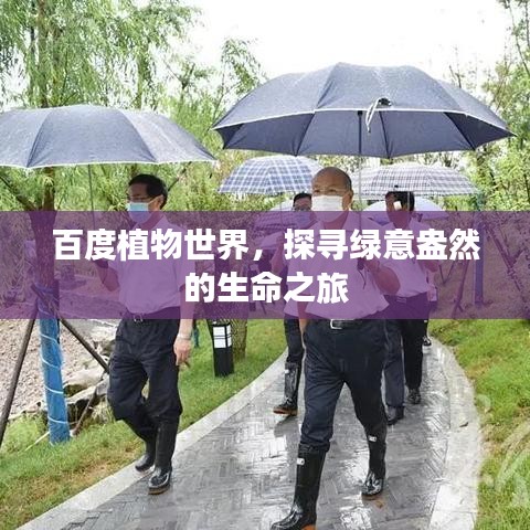 百度植物世界，探寻绿意盎然的生命之旅