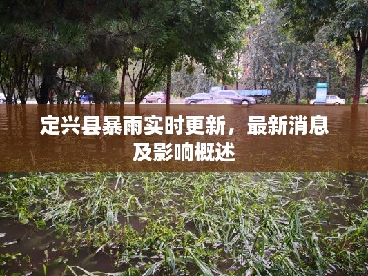 定兴县暴雨实时更新，最新消息及影响概述