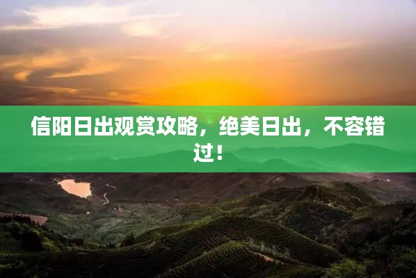 信阳日出观赏攻略，绝美日出，不容错过！