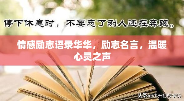 情感励志语录华华，励志名言，温暖心灵之声