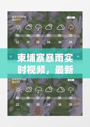 柬埔寨暴雨实时视频，最新天气动态报道