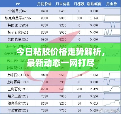 今日粘胶价格走势解析，最新动态一网打尽