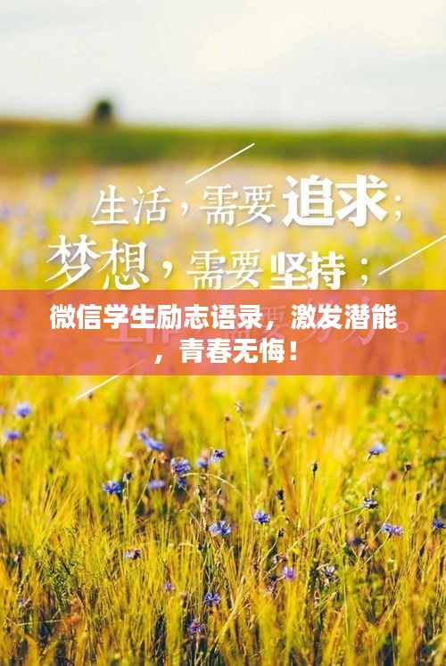 微信学生励志语录，激发潜能，青春无悔！