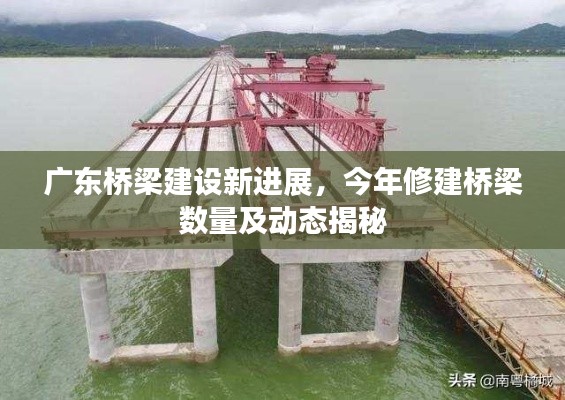广东桥梁建设新进展，今年修建桥梁数量及动态揭秘