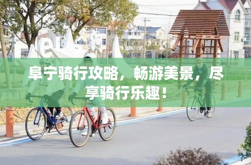 阜宁骑行攻略，畅游美景，尽享骑行乐趣！