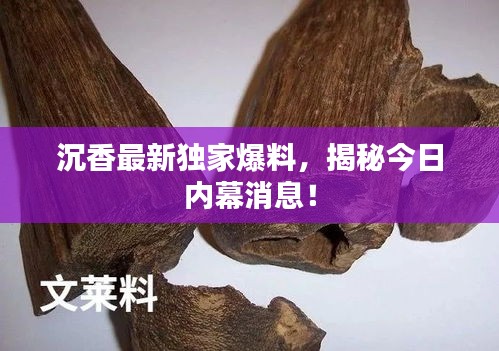 沉香最新独家爆料，揭秘今日内幕消息！