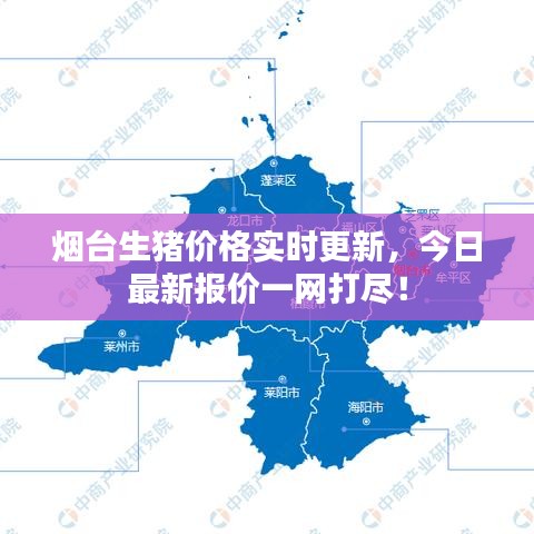 烟台生猪价格实时更新，今日最新报价一网打尽！