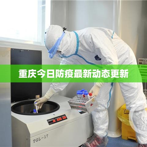 重庆今日防疫最新动态更新