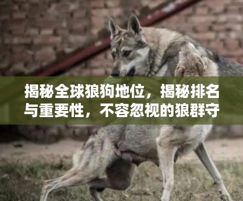 乌鸟私情 第2页