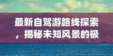 夯雀儿先飞 第2页